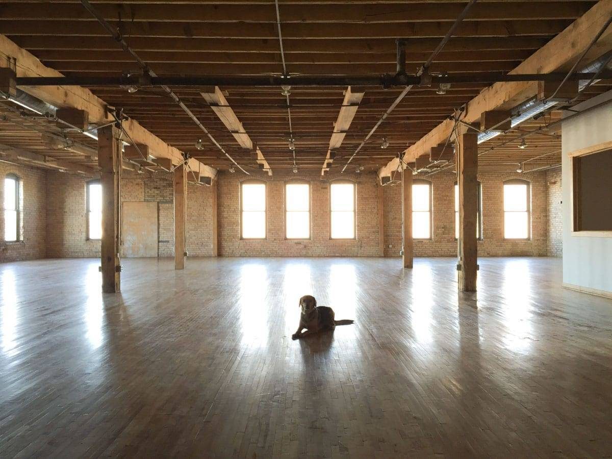Dog laying on the floor in an empty office space.
